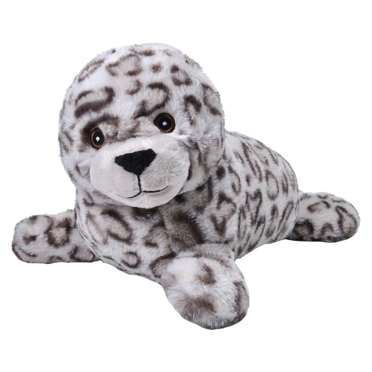 Harbor Seal